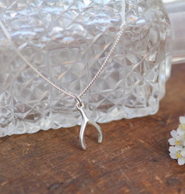 DARCY Silver Wishbone Necklace