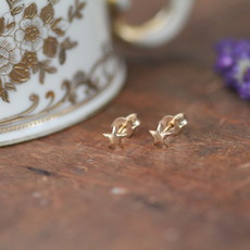 DARCY Gold Star Earrings