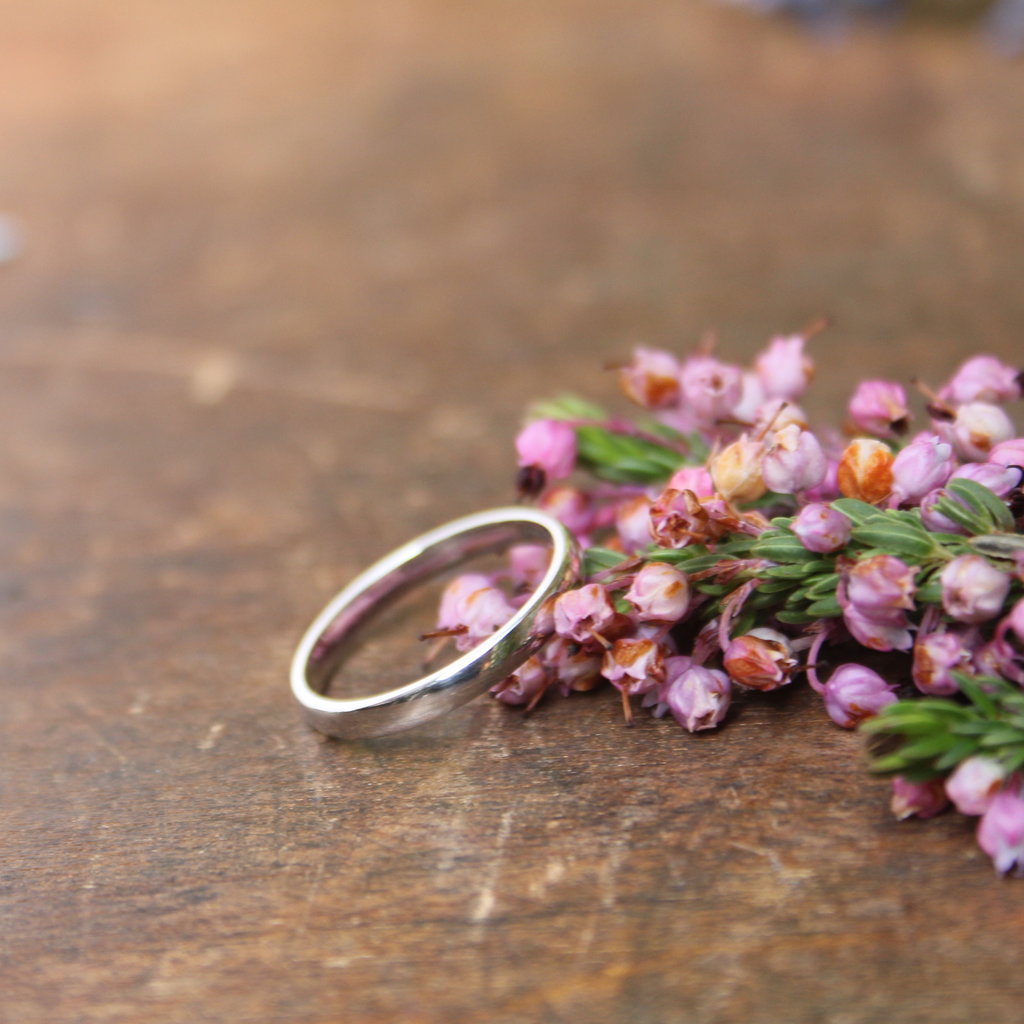 BOTANICA Platinum Ring 2mm