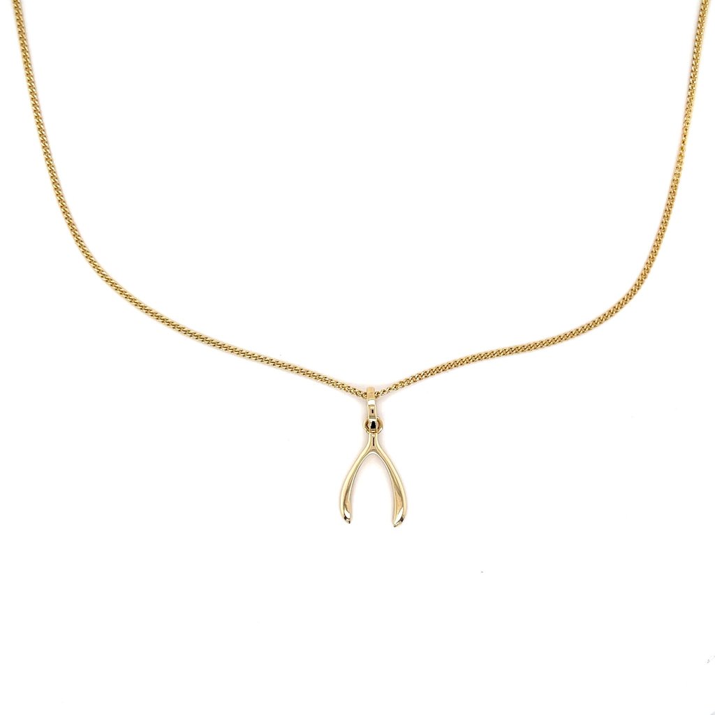 DARCY Gold Wishbone Necklace