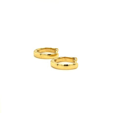 18 Carat Gold Sparrow Oval Hoop Earrings