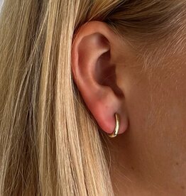 18 Carat Gold Sparrow Oval Hoop Earrings