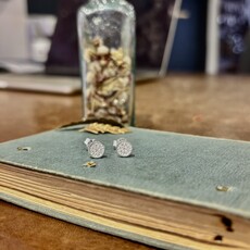Silver Shimmer Sol Earrings