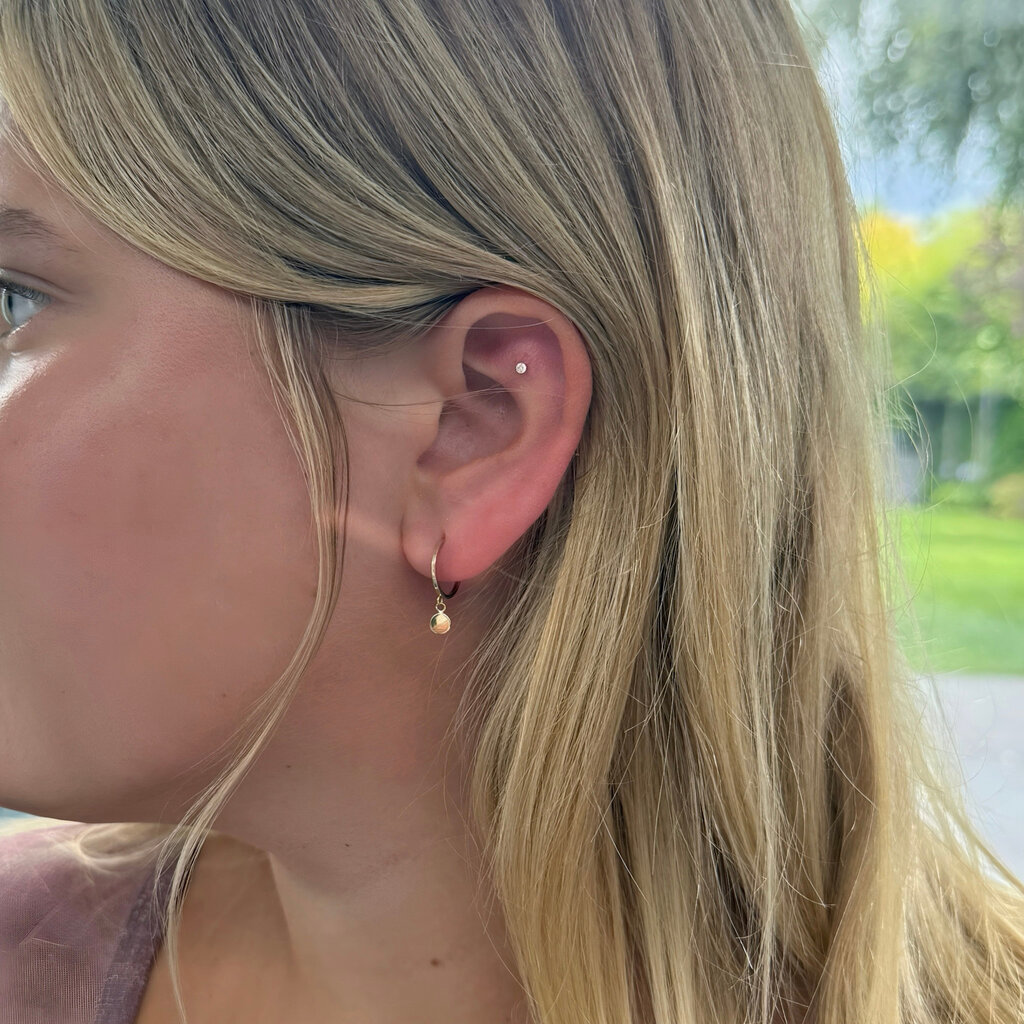 Gold Evelyn Disc Hoop Earrings