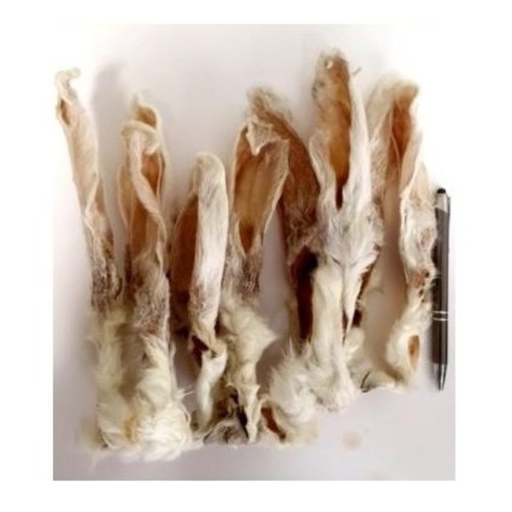 Konijnenoren met haar Konijnenoren met haar