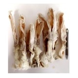 Konijnenoren met haar