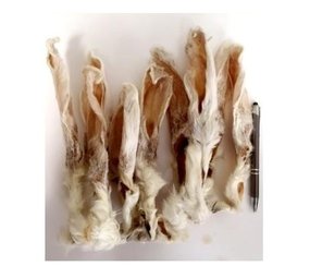 Konijnenoren met haar