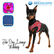 Aqua Coolkeeper Aqua Coolkeeper Comfy Harness Aqua Coolkeeper Aqua Coolkeeper Comfy Harness