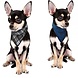 Aqua Coolkeeper Aqua Coolkeeper Bandana Aqua Coolkeeper Aqua Coolkeeper Bandana