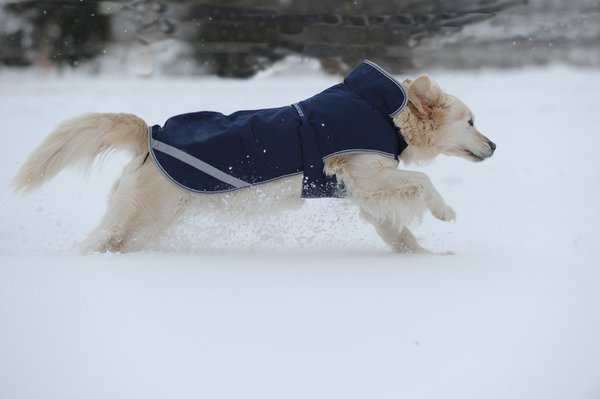 Bucas Bucas Hondenjas Navy Blue 300 gr Bucas Bucas Hondenjas Navy Blue 300 gr