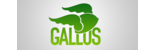 Gallus