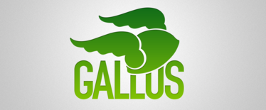 Gallus