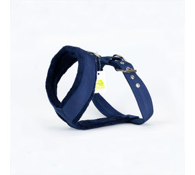 Gallus Gallus tuig Marine Blauw