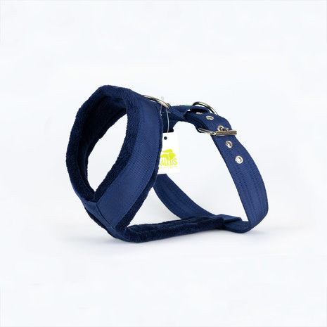 Gallus Gallus tuig Marine Blauw