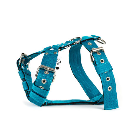 MAG MAG hondentuig  Petrol MAG MAG hondentuig  Petrol