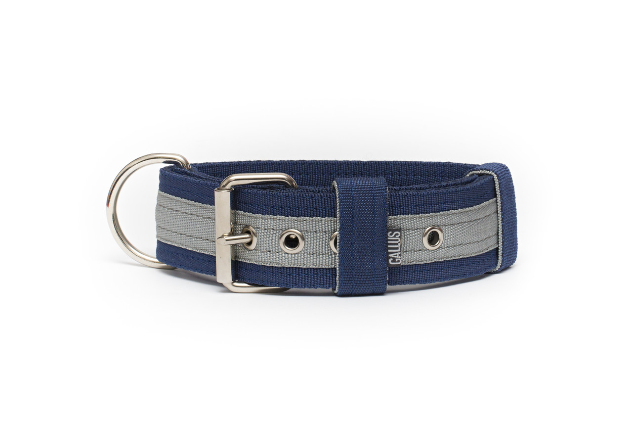 Gallus Gallus halsband Blauw / Grijs Gallus Gallus halsband Blauw / Grijs