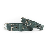 Gallus Gallus halsband Groen / Wit Gallus Gallus halsband Groen / Wit