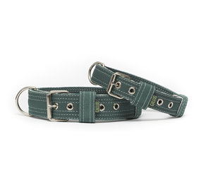 Gallus Gallus halsband Groen / Wit Gallus Gallus halsband Groen / Wit