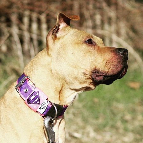 MAG MAG halsband Superman paars/roze MAG MAG halsband Superman paars/roze