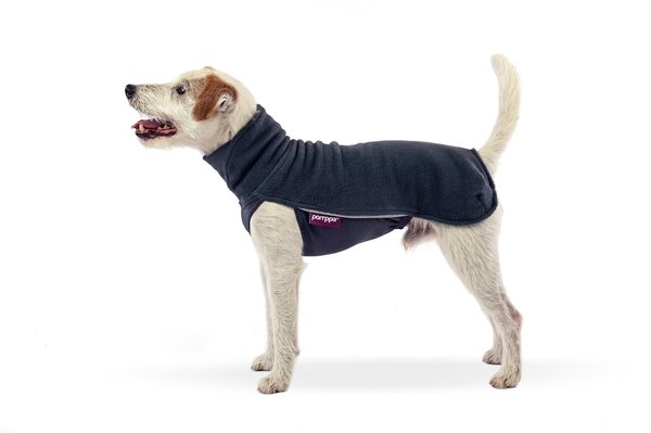 Pomppa JumppaPomppa Hondentrui Pomppa JumppaPomppa Hondentrui