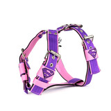 MAG MAG hondentuig Superman Paars / Roze MAG MAG hondentuig Superman Paars / Roze