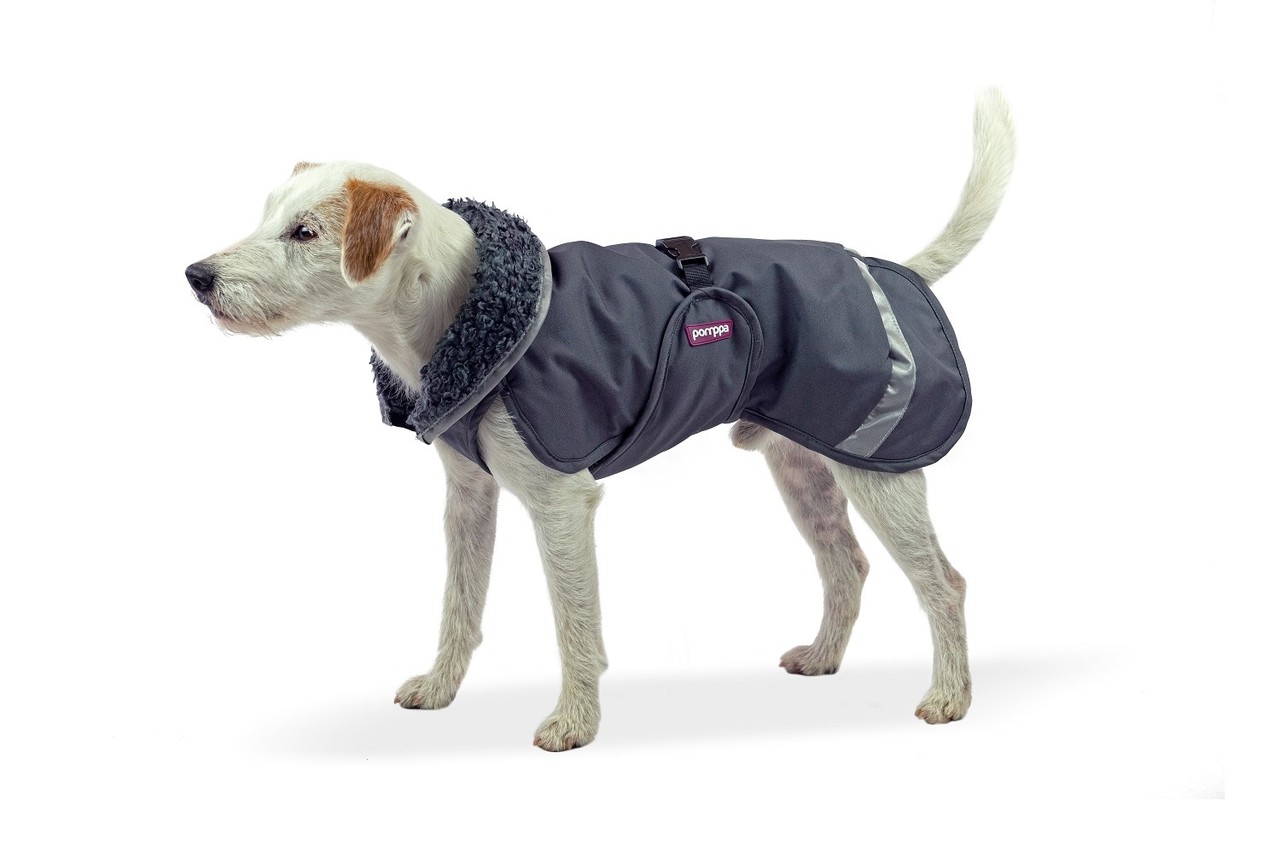 Pomppa PerusPomppa Hondenjas OP = OP Pomppa PerusPomppa Hondenjas OP = OP