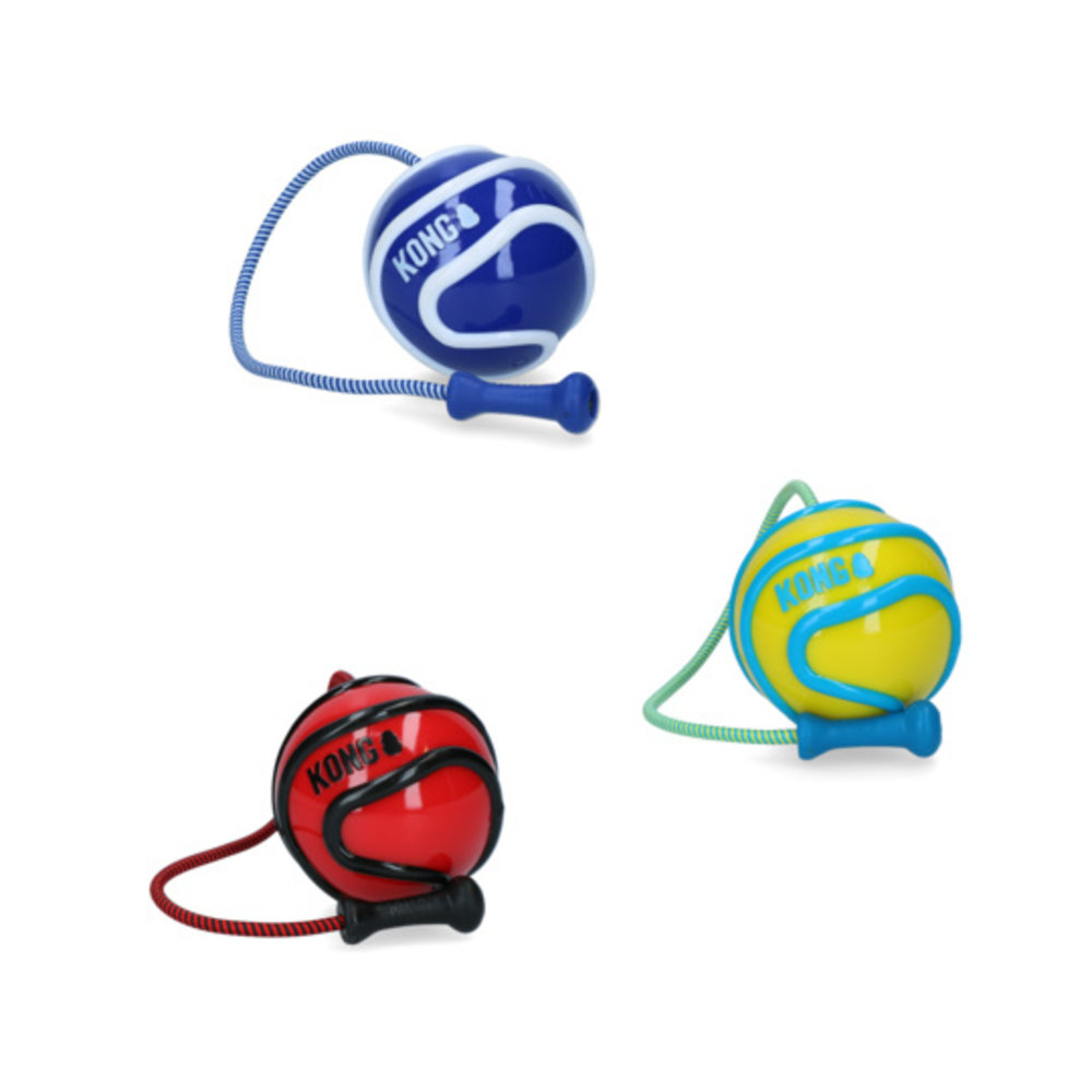 Kong Kong Wavz Bunjiball