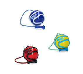 Kong Kong Wavz Bunjiball