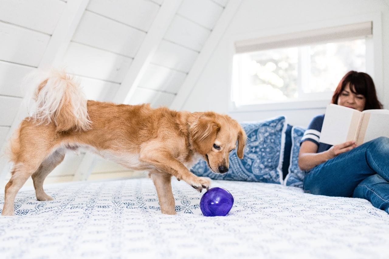 Outward Hound Outward Hound Orbee-Tuff Snoop M