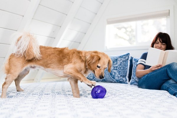 Outward Hound Outward Hound Orbee-Tuff Snoop M