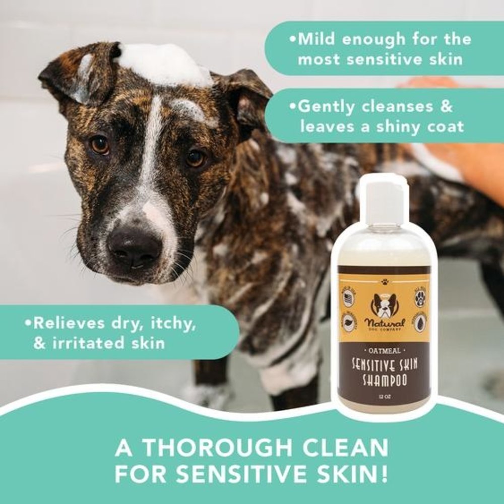 Natural Dog Company Natural Dog Company Sensitive Skin Oatmeal Shampoo