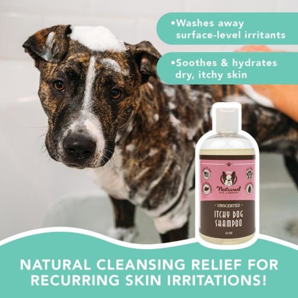 Natural Dog Company Natural Dog Company Itchy Dog Shampoo Natural Dog Company Natural Dog Company Itchy Dog Shampoo