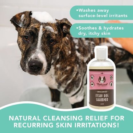 Natural Dog Company Natural Dog Company Itchy Dog Shampoo Natural Dog Company Natural Dog Company Itchy Dog Shampoo