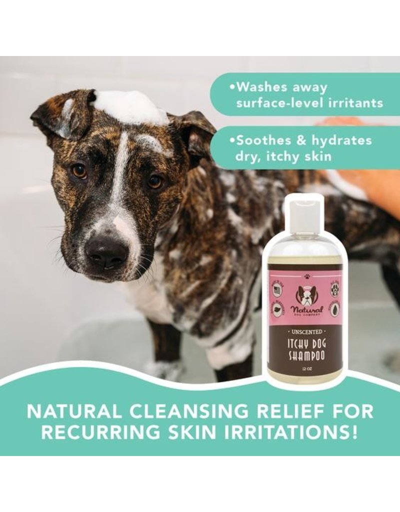 Natural Dog Company Sensitive Skin Oatmeal Shampoo - The Dog Lounge