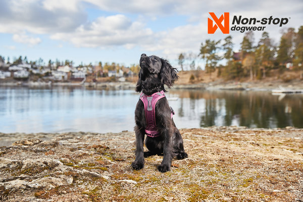 Non Stop Dogwear Non Stop Dogwear Ramble Harness Non Stop Dogwear Non Stop Dogwear Ramble Harness