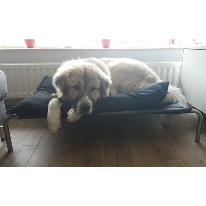 HIK9 bed mesh The Dog Lounge