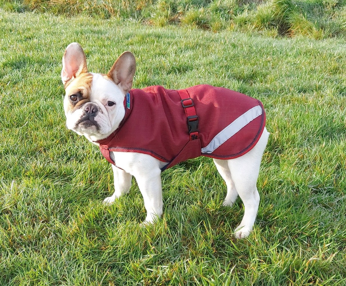 Bucas Bucas Hondenjas Cherry 50 gr Bucas Bucas Hondenjas Cherry 50 gr