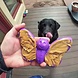 Sodapup Sodapup Butterfly Nylon Chew & Enrichment Toy Sodapup Sodapup Butterfly Nylon Chew & Enrichment Toy