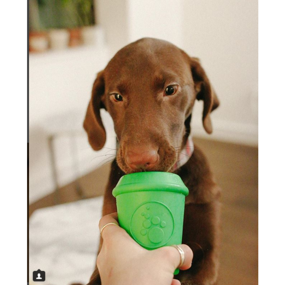 Sodapup Sodapup Coffee Cup Toy & Treat Dispenser Large Sodapup Sodapup Coffee Cup Toy & Treat Dispenser Large