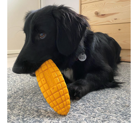 Sodapup Sodapup Corn on the Cob Durable Nylon Chew Toy