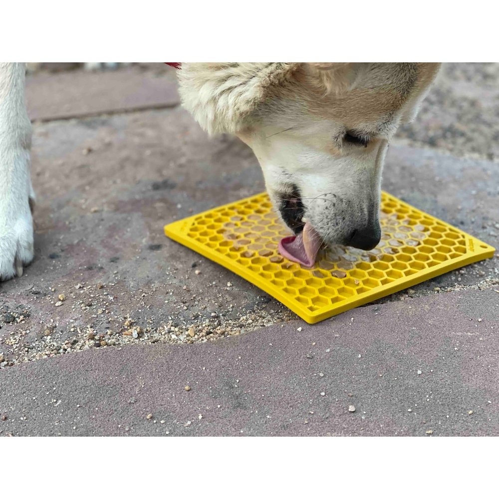 Sodapup Sodapup Honeycomb Enrichment Likmat Sodapup Sodapup Honeycomb Enrichment Likmat