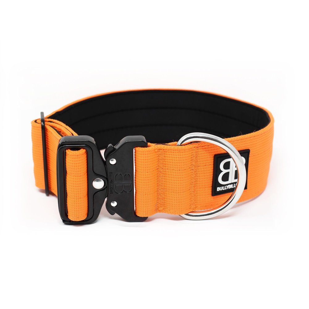 BullyBillows BullyBillows 5CM Combat Halsband BullyBillows BullyBillows 5CM Combat Halsband