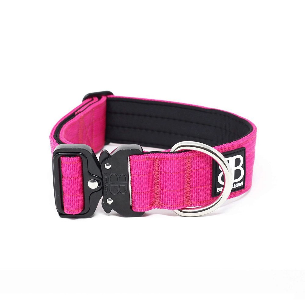 BullyBillows 4CM Combat Collar The Dog Lounge