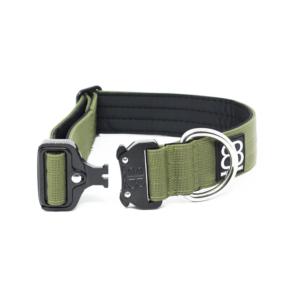 BullyBillows BullyBillows 4CM Combat Halsband