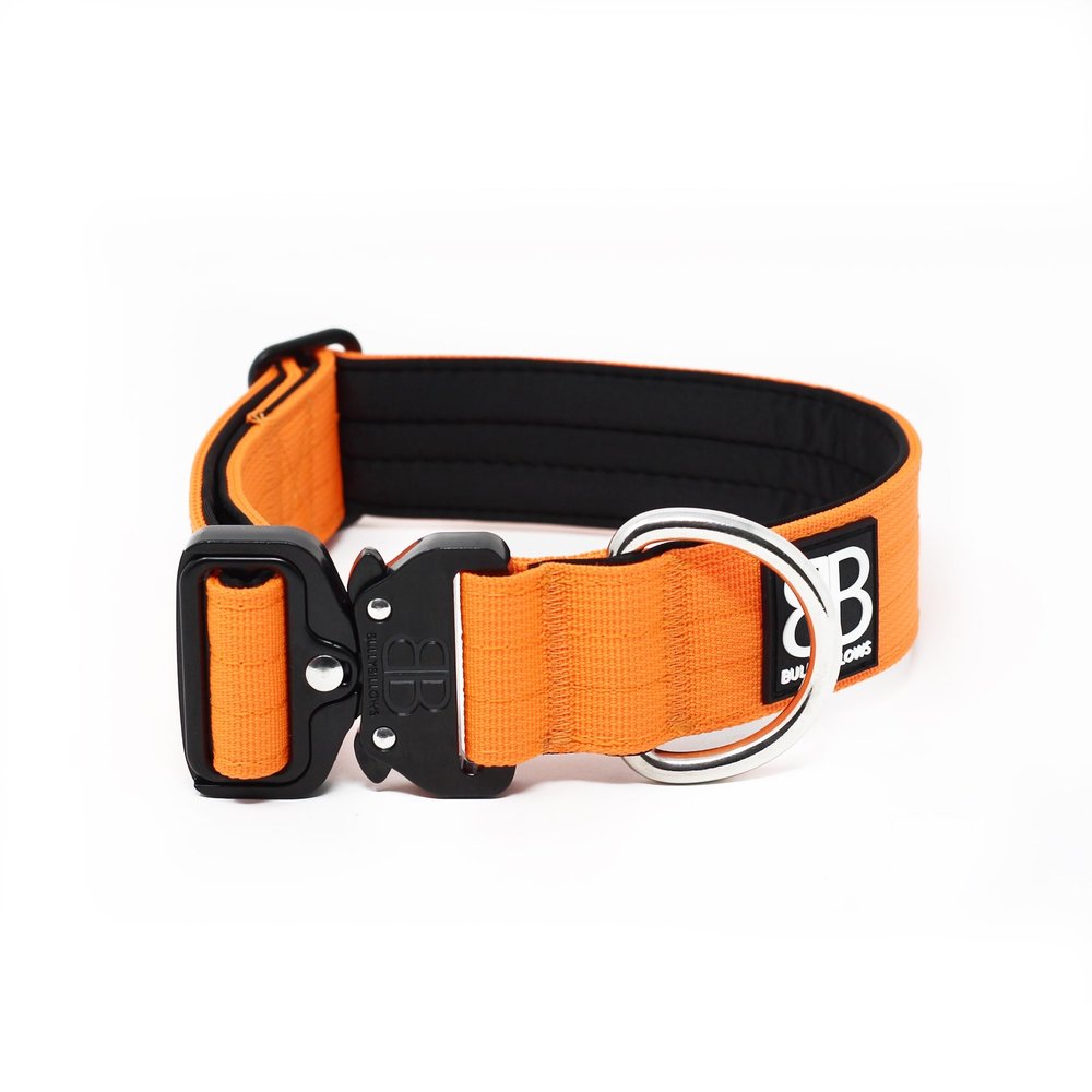 BullyBillows BullyBillows 4CM Combat Halsband