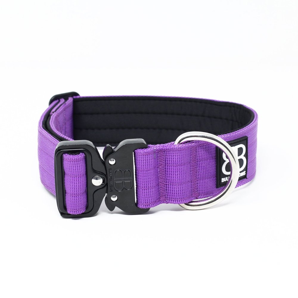 BullyBillows BullyBillows 4CM Combat Halsband