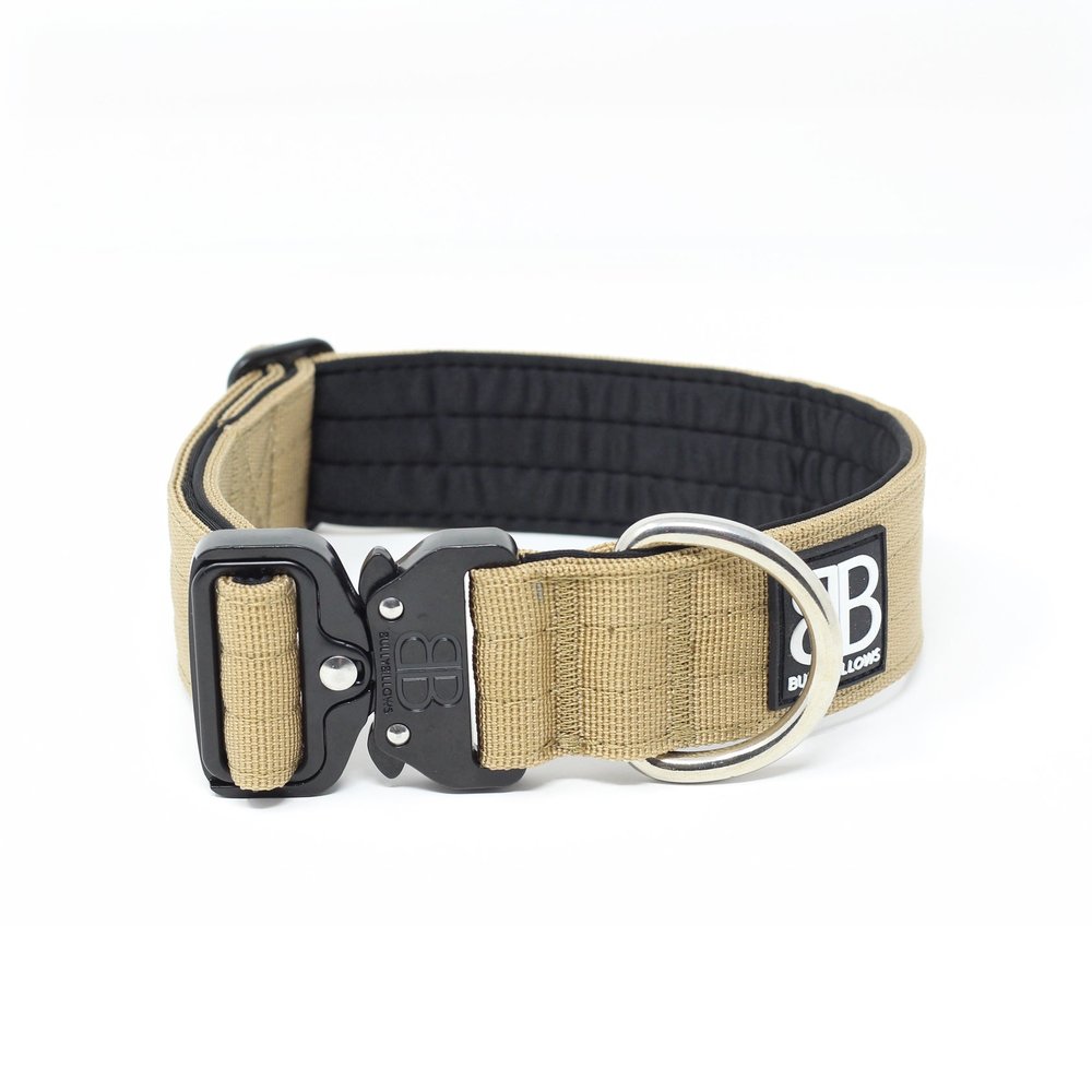 BullyBillows BullyBillows 4CM Combat Halsband