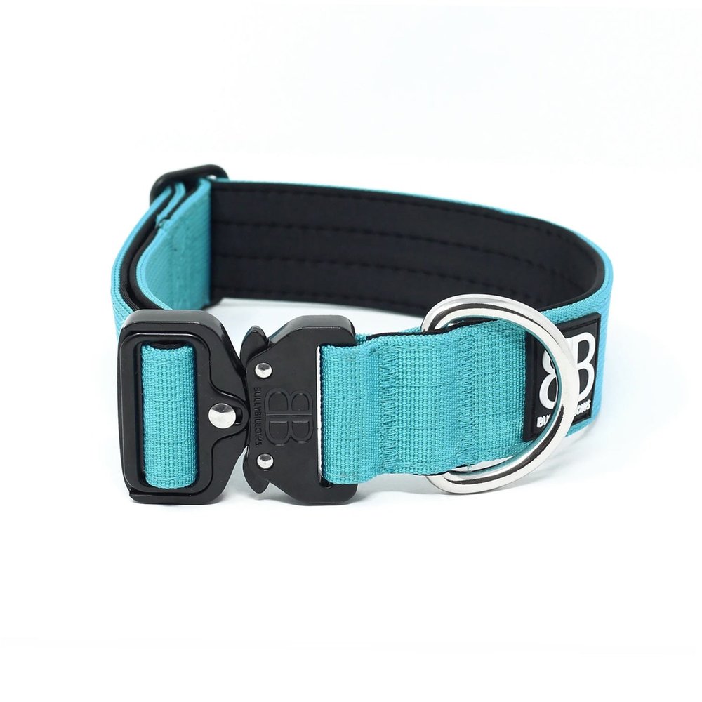 BullyBillows 4CM Combat Collar The Dog Lounge