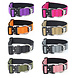BullyBillows BullyBillows - 4CM Combat Collar BullyBillows BullyBillows - 4CM Combat Collar