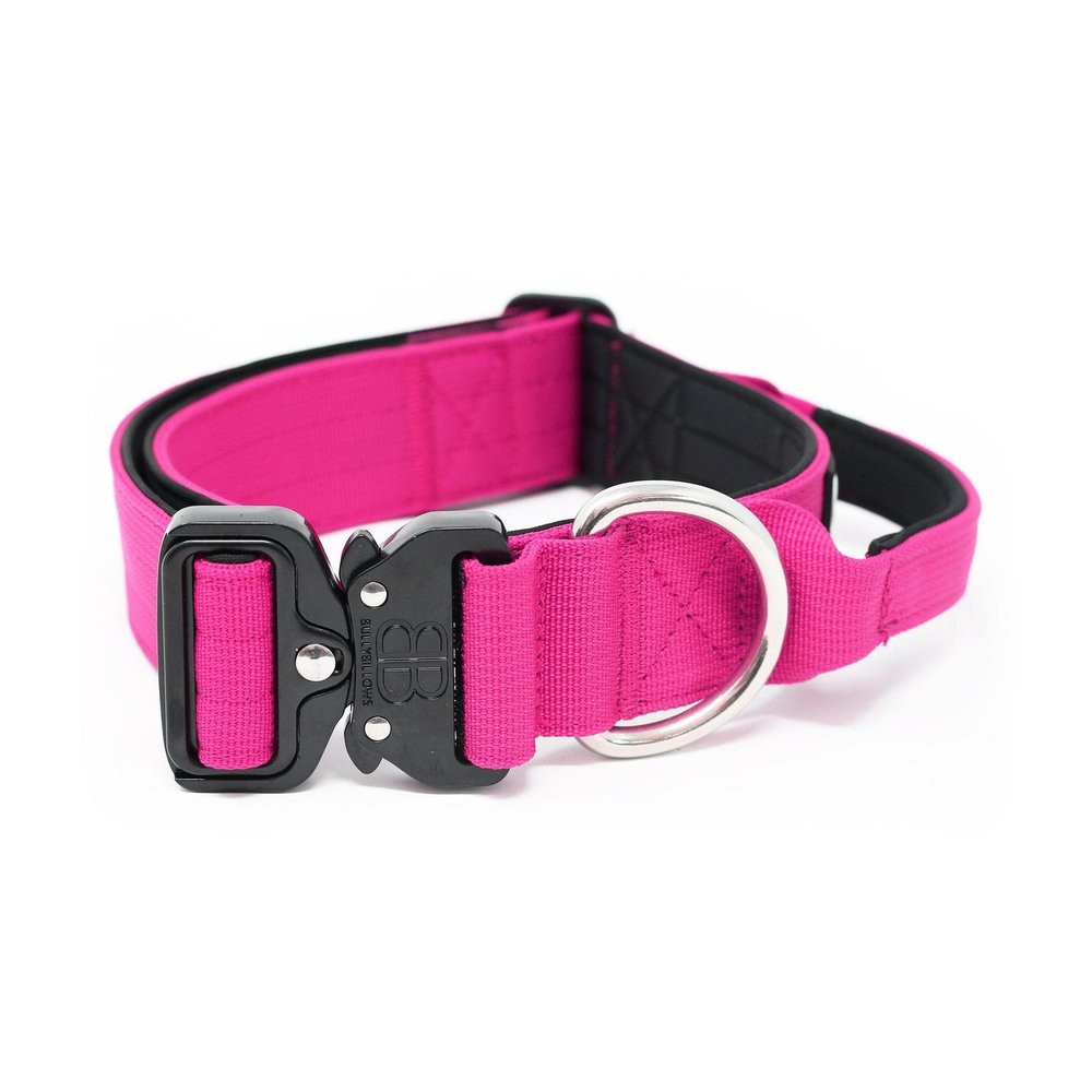 BullyBillows 4CM Combat Collar with handle The Dog Lounge